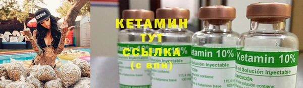 шишки Алексин