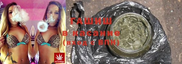 шишки Алексин
