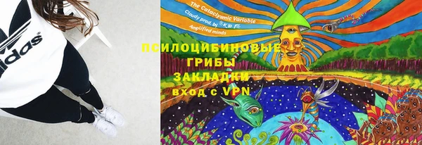 шишки Алексин