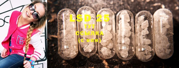 шишки Алексин