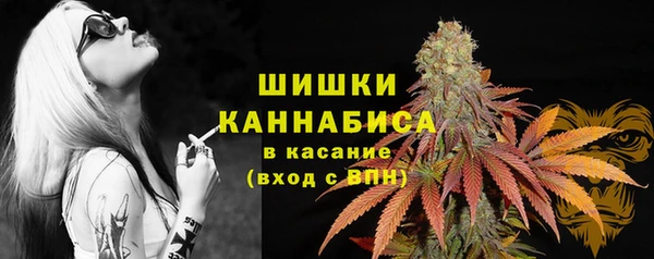 шишки Алексин