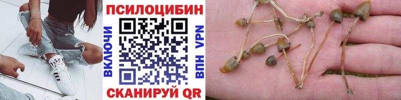 даркнет сайт Брянск Галлюциногенные грибы прущие грибы